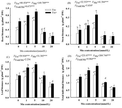 Arbuscular mycorrhizal fungi alleviate Mn phytotoxicity by altering Mn subcellular distribution and chemical forms in Lespedeza davidii